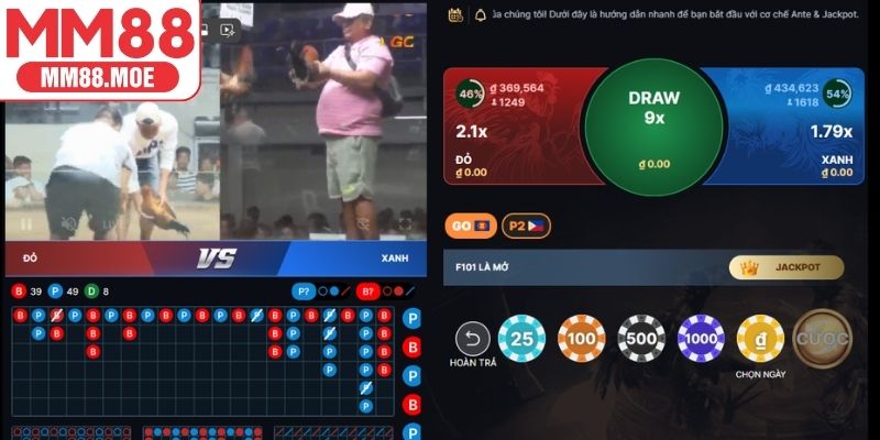 Các loại hình đá gà MM88 hấp dẫn