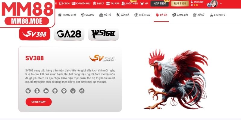 Tổng quan về đá gà MM88