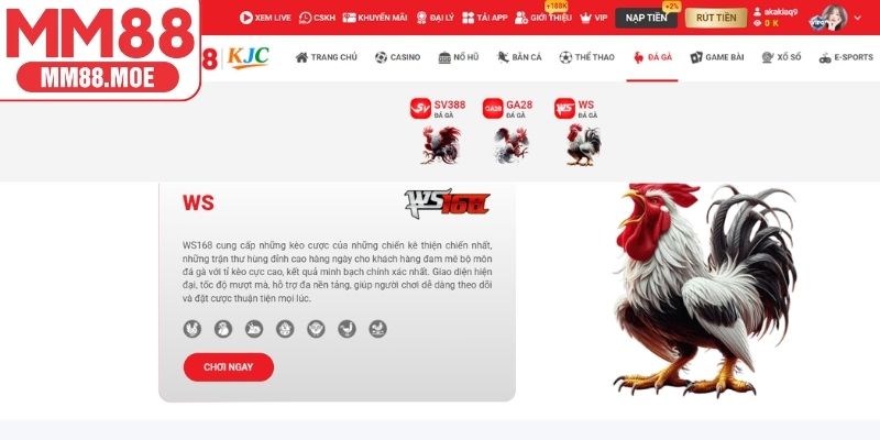 Ưu điểm của đá gà tại MM88