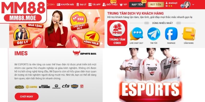 Đội ngũ chăm sóc chuyên nghiệp