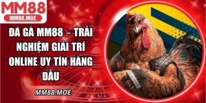 Đá Gà MM88 – Trải Nghiệm Giải Trí Online Uy Tín Hàng Đầu