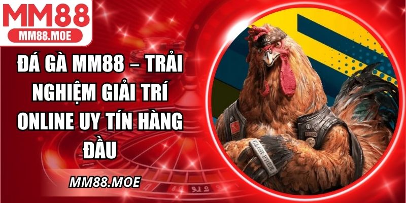 Đá Gà MM88 – Trải Nghiệm Giải Trí Online Uy Tín Hàng Đầu